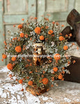 #LV6401 Pumpkin Fall Garden Bliss Candle Ring 6 Inch