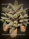 #TR1120A Set of 3 Small Trees in Clay Pots