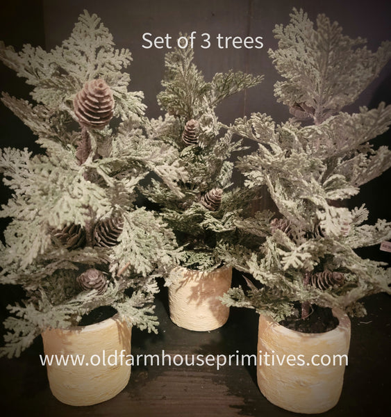 #TR1120B Set of 3 Small Trees in Whitewash Clay Pots