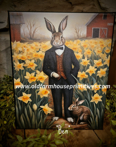 #HGC1027 "BEN" Rabbit 8x10 Canvas Print