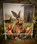#HGC1031 "DASH" Bunny 8x10 Canvas Print