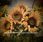 112734  Sunflower Stem Pick