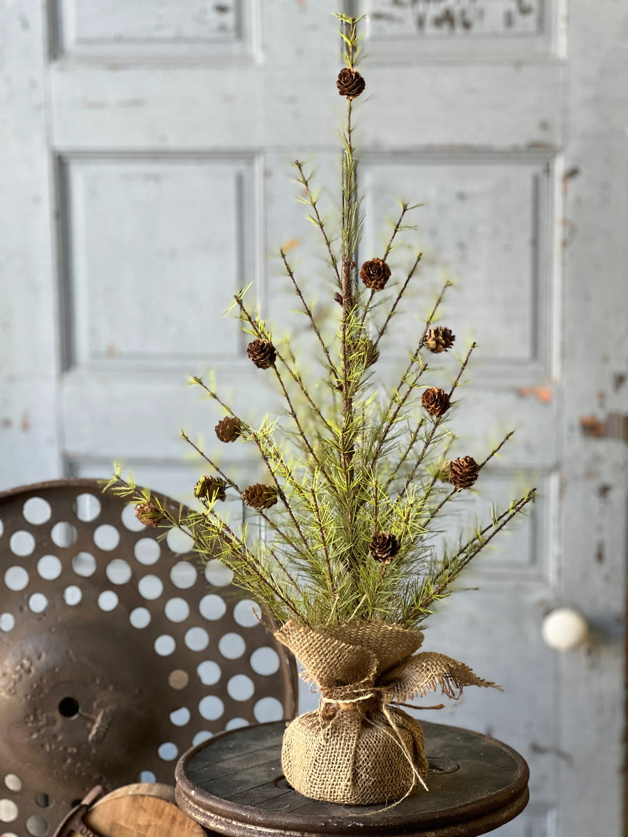 pine 7.5 ft. Pre-Lit Skykomish Pine Tree with LED Lights