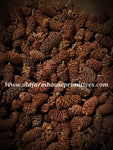 #PSBPC Highly Scented Birch Pinecones #1 TOP SELLER