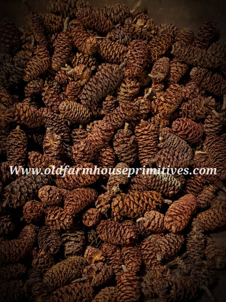 #PSBPC Highly Scented Birch Pinecones #1 TOP SELLER