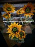 CSSF2 Primitive Summer Sunflower🌻 Pot