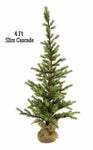 #XX2264 Primitive 4FT Cascade Slim Pine Tree With Burlap Base