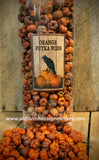 #FP11 Orange Unscented Dried Putka Pod Mini "PUMPKINS" 🎃 #1 Seller