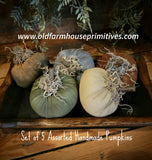 #DAWF80 Primitive Assorted Stuffed Pumpkins Set of 5 MADE IN USA