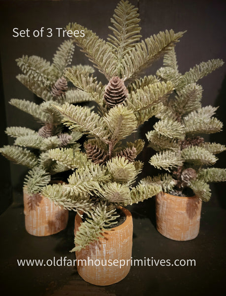 #TR1120A Set of 3 Small Potted Trees in Clay Pots