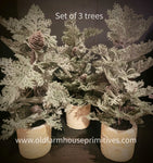 #TR1120B Set of 3 Small Potted Trees in Whitewash Clay Pots