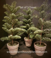 #54676B  Set of 3 Potted Pine Trees