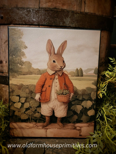 #HGC1002 Tiny "Timmy" Bunny 8x10 Canvas Print