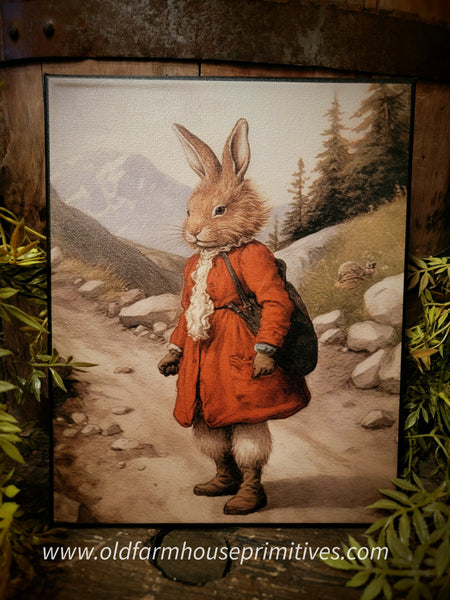 #HGC1007 "Hiking Hilda" Rabbit 8x10 Canvas Print