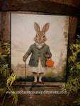 #HGC1012 Pretty "Priscilla" Rabbit 8x10 Canvas Print