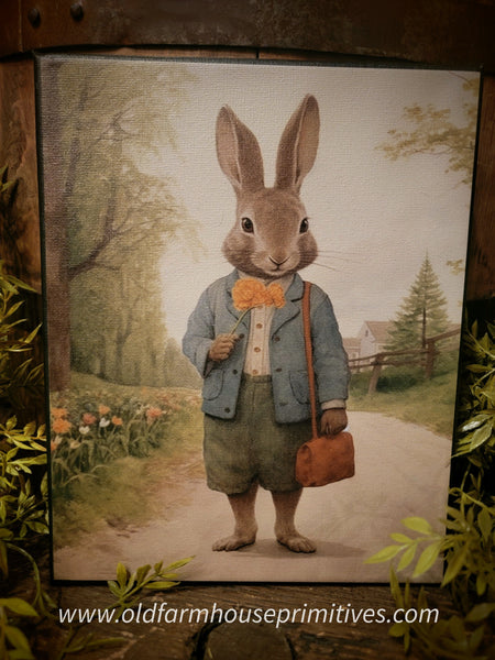 #HGC1008 "Elmer" Rabbit 8x10 Canvas Print
