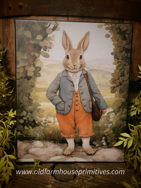 #HGC1009 "Aussie" Rabbit 8x10 Canvas Print