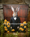 #HGC1024 "OLIVER" Rabbit 8x10 Canvas Print