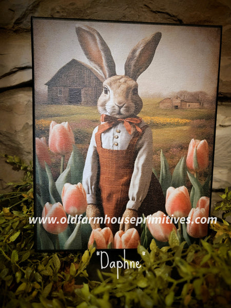 #HGC1030 "DAPHNE" Bunny 8x10 Canvas Print