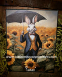 #HGC1040 "ROMAN" Rabbit 8x10 Canvas Print