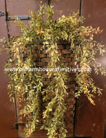 #WGMWB-CM Primitive "Caramel" Medium Wall Basket