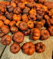 #FP11 Orange Unscented Dried Putka Pod Mini "PUMPKINS" 🎃 #1 Seller