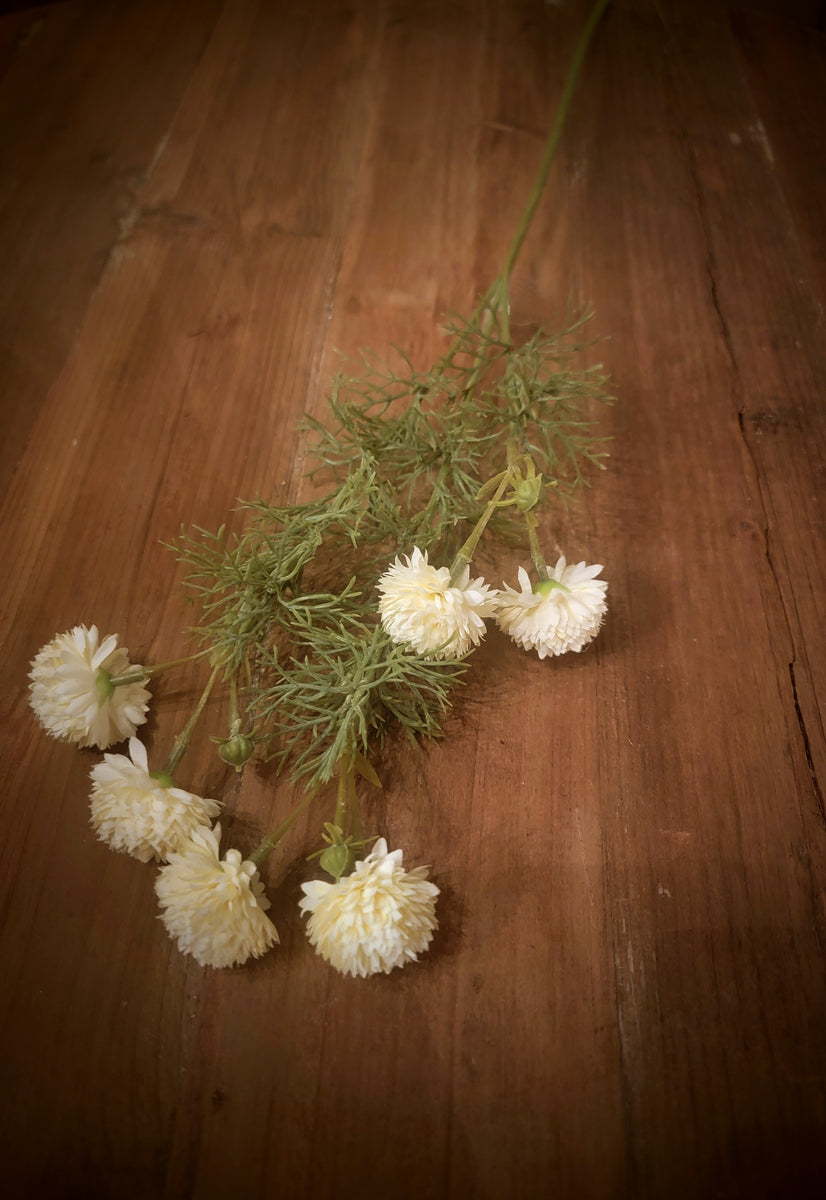 PDCH106 Ivory Chrysanthemum Stem 25In – Old Farmhouse Primitives