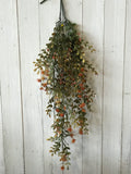 19492PT Fall  English Boxwood Berry Vine 27"