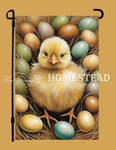 #GF-1084 "Calvin Chick & Eggs" Garden Flag