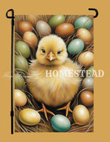 #GF-1084 "Calvin Chick & Eggs" Garden Flag