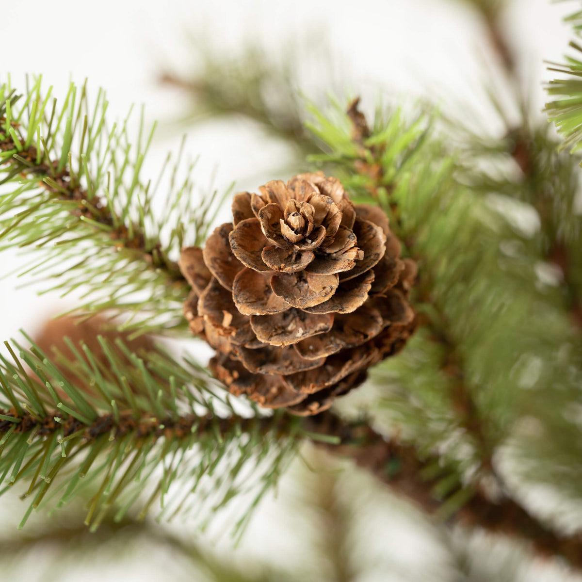 TR1177 3Ft Pine Tree – Old Farmhouse Primitives