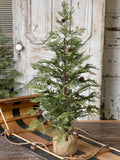 XK3786 36In North Rim Hemlock Tree