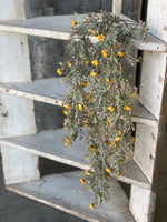 FG5564  33" Chalice Blooms Hanging Mustard