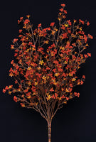 FTE8017RU  Rust Star Flower Bush-20In