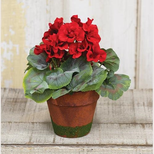 FBY90262RD  Red Potted Geranium