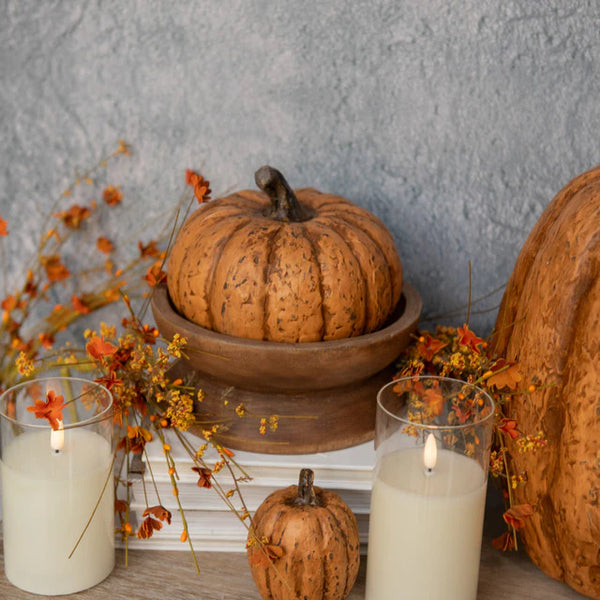 WS221200  5.75In Terracotta Short Pumpkin 🎃