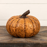 WS221200  5.75In Terracotta Short Pumpkin 🎃