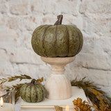 WS221197  5.75In Olive Green Short Pumpkin