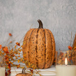WS221188  7.5In Terracotta Tall Pumpkin 🎃