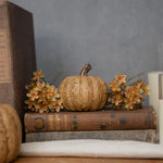 WS221199  5.75In Beige Short Pumpkin