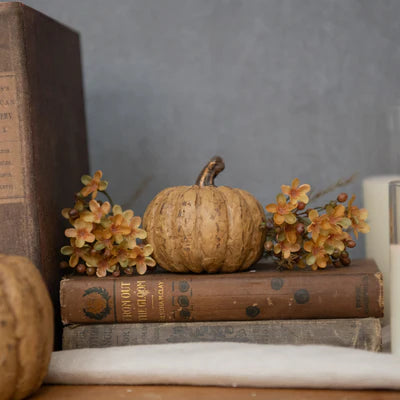 WS221199  5.75In Beige Short Pumpkin