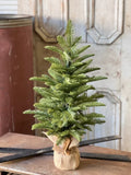 XHP8622  26In Shetland Spruce Tree 🌲