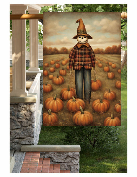 #LF-2539 "Whimsical Witch Hat Scarecrow" Large Yard/House Flag