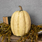 #3292W Primitive 14 Inch Off White Tall Pumpkin