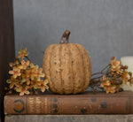 #WS221195  Primitive 3.75 Inch Beige Tall Pumpkin