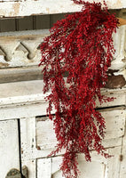 XVP9702  30In Frivolity Berry Hanging