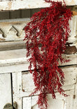 XVP9702  30In Frivolity Berry Hanging