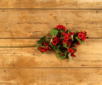 #G228451  Red Geranium Spray 30 Inch