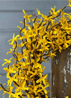 #BR5616  23In Sunrise Forsythia Wreath