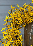 #BR5616  23In Sunrise Forsythia Wreath